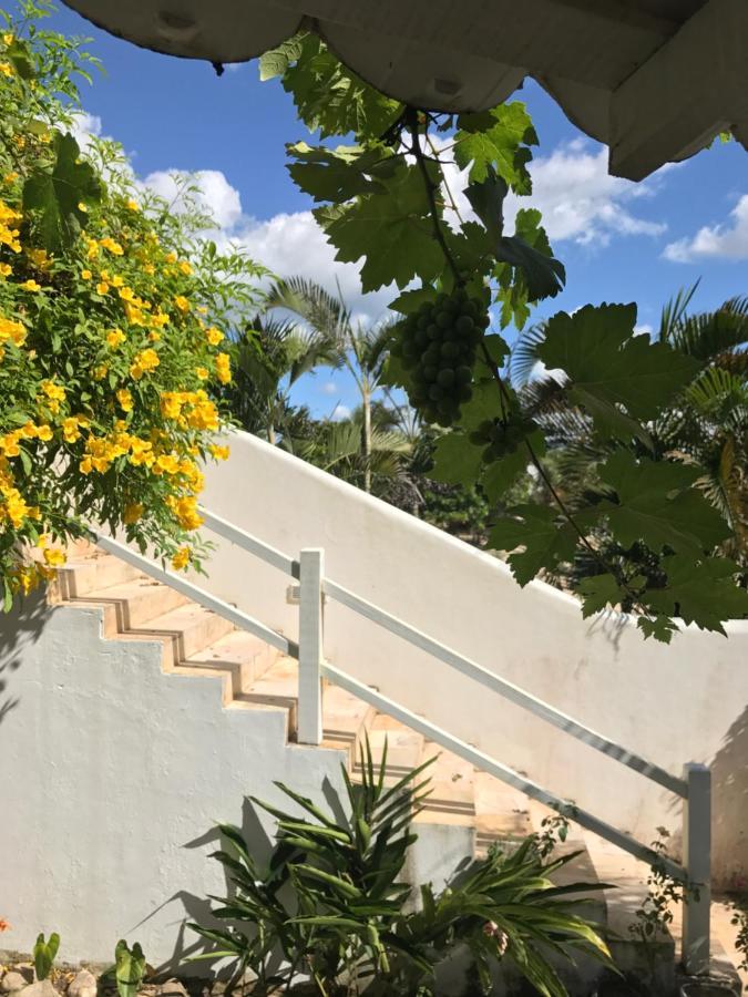 Pousada Papaya Jijoca de Jericoacoara Buitenkant foto